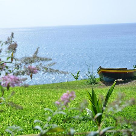 Quinta Golfinho Lägenhet Arco da Calheta  Exteriör bild