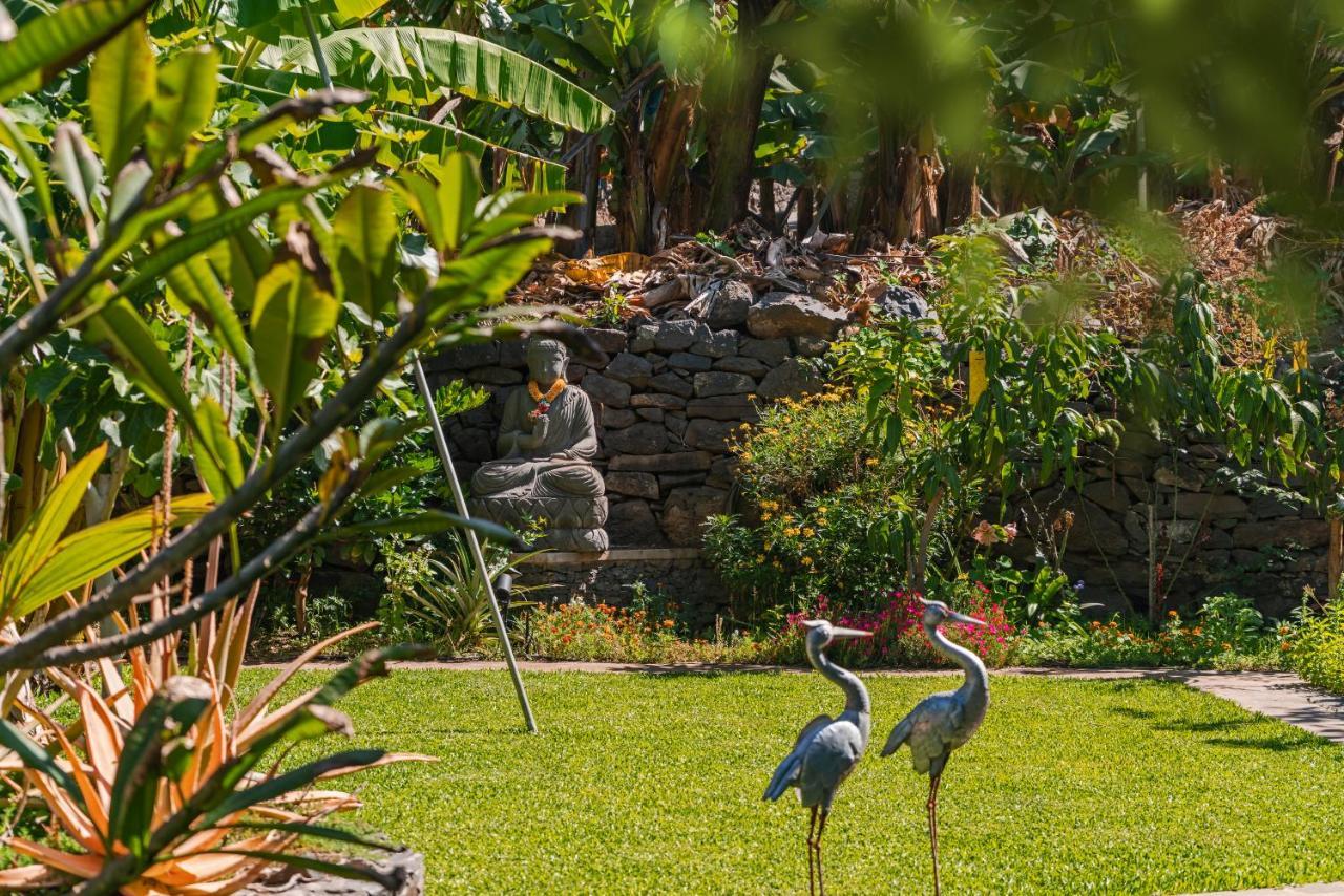 Quinta Golfinho Lägenhet Arco da Calheta  Exteriör bild