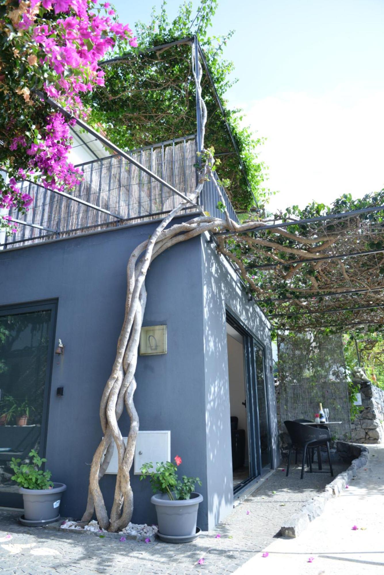 Quinta Golfinho Lägenhet Arco da Calheta  Exteriör bild
