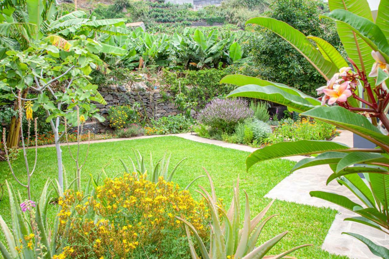 Quinta Golfinho Lägenhet Arco da Calheta  Exteriör bild